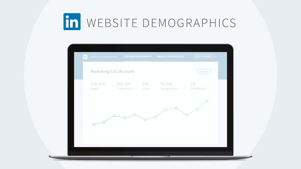 LinkedIn Features Ad Demographics